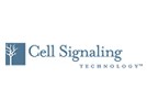 CST(cell signaling)