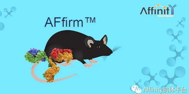 AFfirm™系列鼠单克隆抗体
