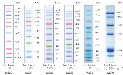 蛋白marker产品优势 ● 分子量范围广,有5-245kda各种大小条带供您