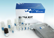 ֲＤ(ABA)ELISA Kit